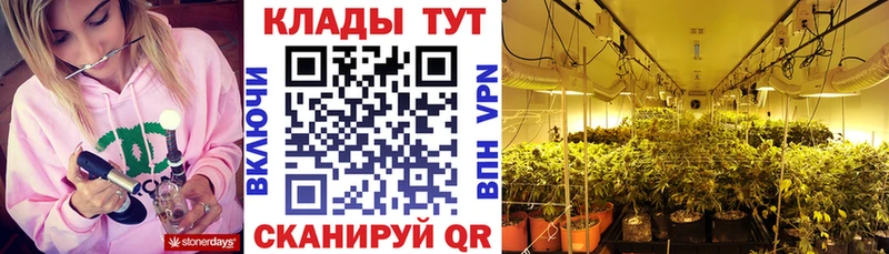 Магазины продажи наркотиков Болотное СК МЕФ Галлюциногенные грибы Марихуана АМФ