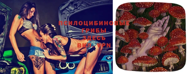 амф Нея