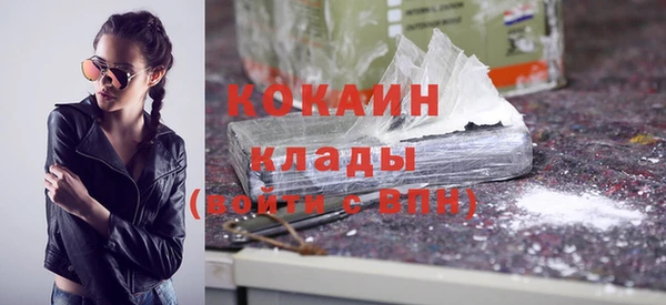 бошки Новодвинск